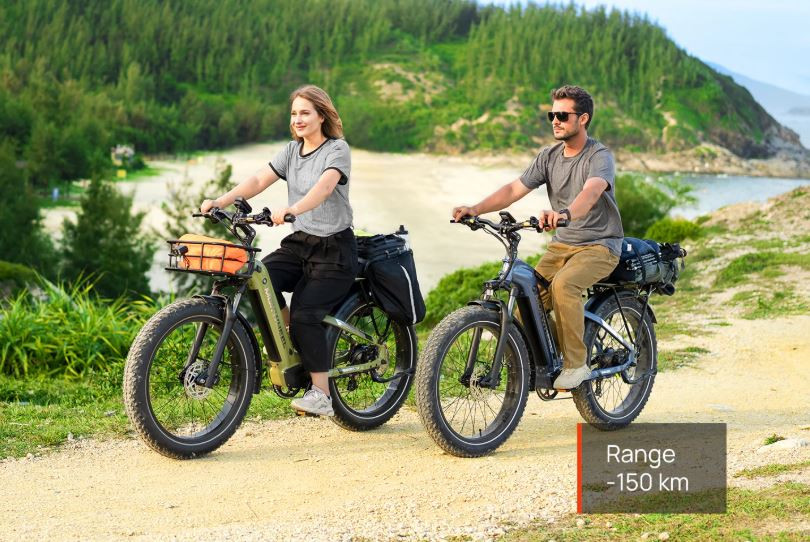 Mokwheel Basalt 2.0 - Ash Gray | Elektrische Mountainbike | Fatbike