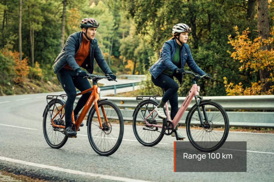 Mokwheel Flint ST - skyblue - elektrische damesfiets