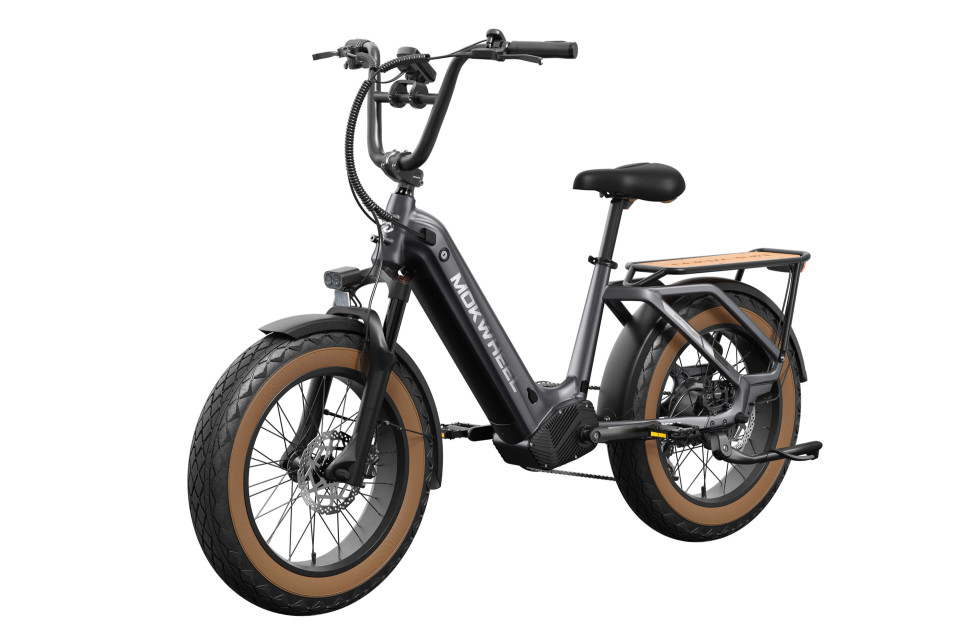 Mokwheel Scoria 3.0 - Grey | Elektrische Fatbike