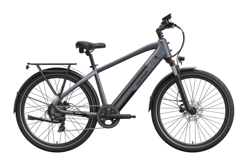 Mokwheel Asphalt - Grey | Elektrische herenfiets