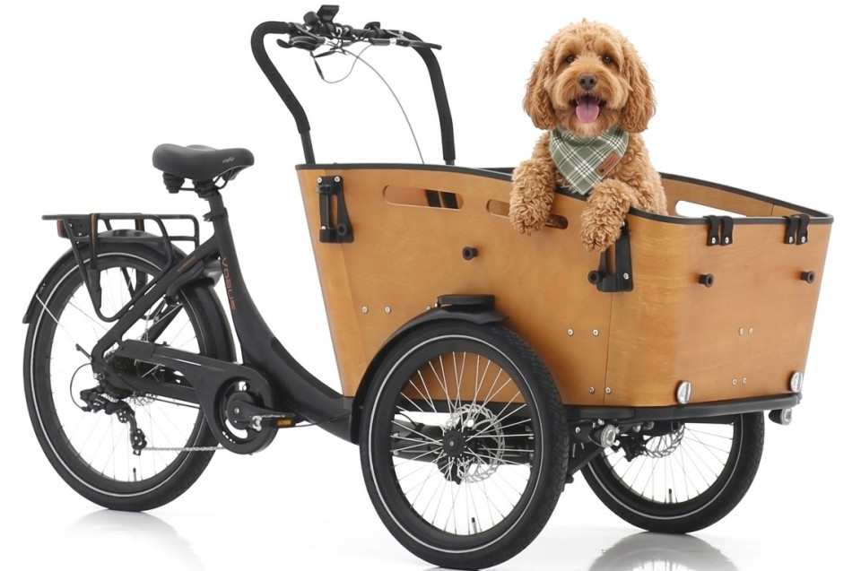 Vogue Superior 3 Dog - elektrische driewieler bakfiets - mat zwart/bruin