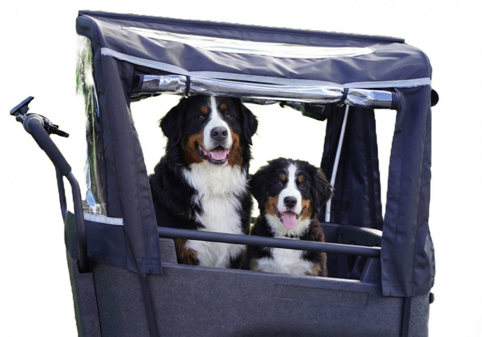 Van Rixtel Urban Plus Dog - mat groen - elektrische bakfiets