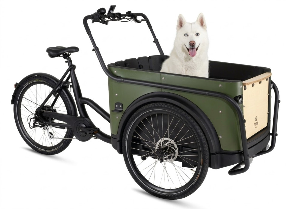 Royal Cargo Bike 3W Eco Dog - groen - elektrische driewieler bakfiets