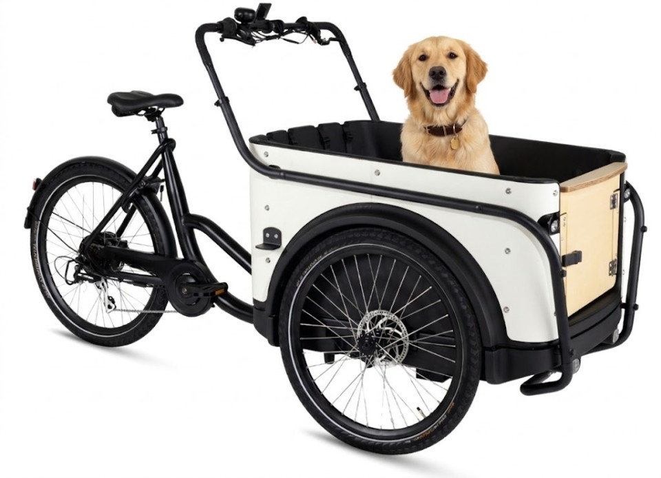 Royal Cargo Bike 3W Eco Dog - wit - elektrische driewieler bakfiets