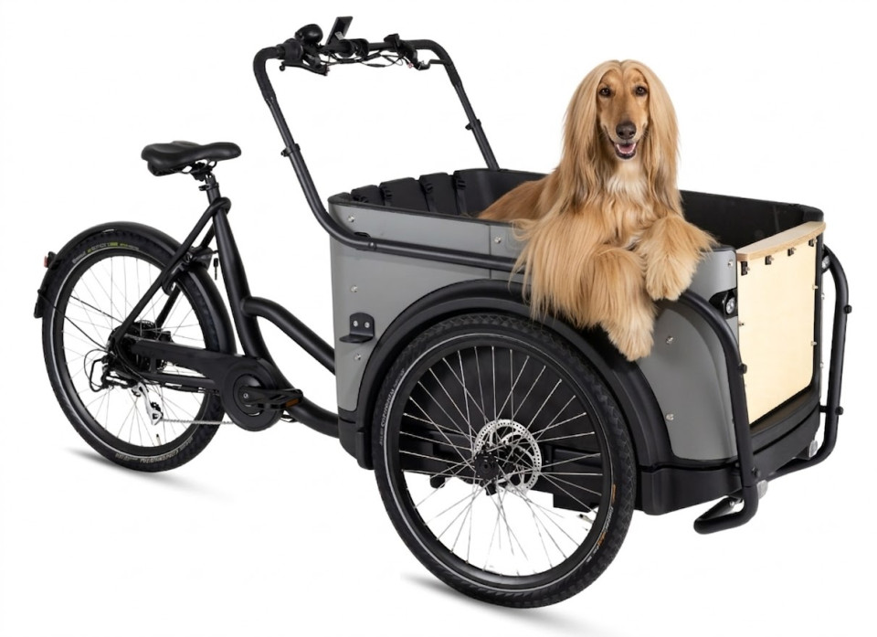 Royal Cargo Bike 3W Eco Dog - taupe grijs - elektrische driewieler bakfiets