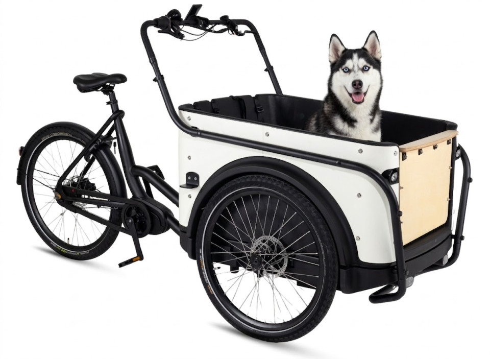 Royal Cargo Bike 3W Premium Dog - wit - elektrische driewieler bakfiets
