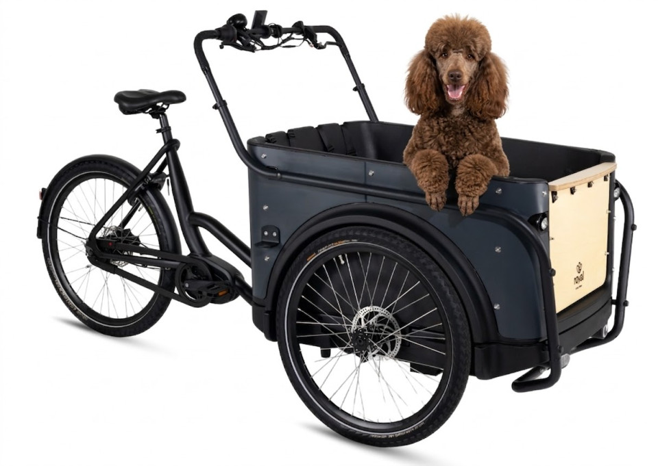 Royal Cargo Bike 3W Premium Dog - antraciet - elektrische driewieler bakfiets