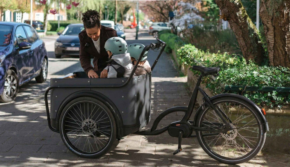 Royal Cargo Bike 3W Premium Dog - groen - elektrische driewieler bakfiets