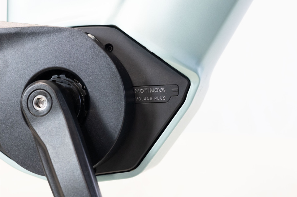 Van Rixtel Ultimate - frost mint - elektrische damesfiets