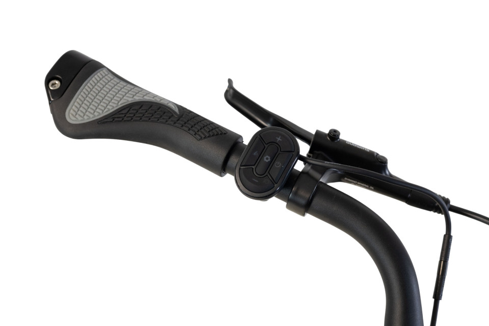 Van Rixtel Ultimate - frost mint - elektrische damesfiets