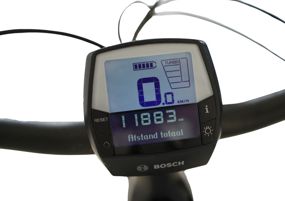 Victoria Hoya Germany