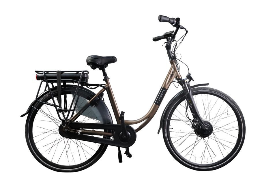 Fongers Elektrische Damesfiets