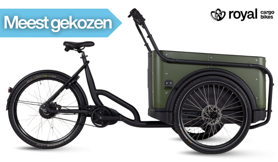 Royal Cargo Bike 3W Premium Plus - groen - elektrische bakfiets