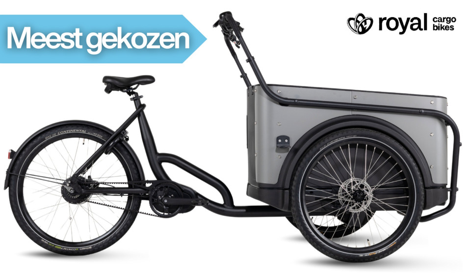Royal Cargo Bike 3W Premium Plus - taupe grijs - elektrische bakfiets