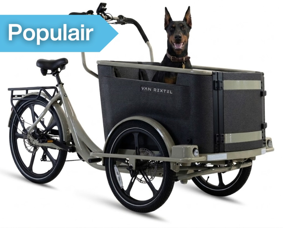 Van Rixtel Dog - desert sand - elektrische driewieler bakfiets