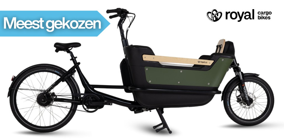 Royal Cargo Bike 2W Premium Plus - elektrische tweewieler bakfiets - Groen