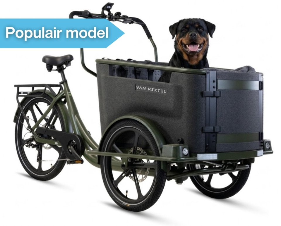 Van Rixtel Dog - olive green - elektrische driewieler bakfiets