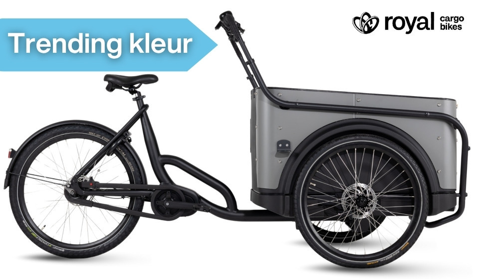 Royal Cargo Bike 3W Premium - taupe grijs - elektrische driewieler bakfiets