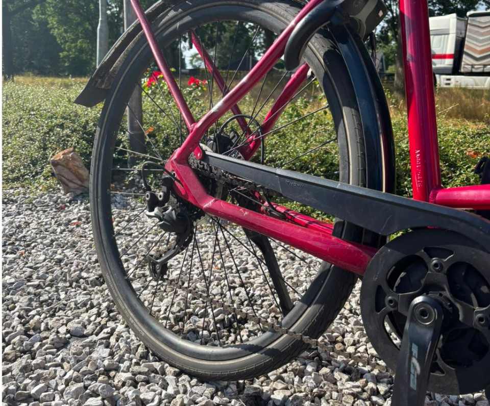 Pegasus Solero Elektrische hybride fiets 
