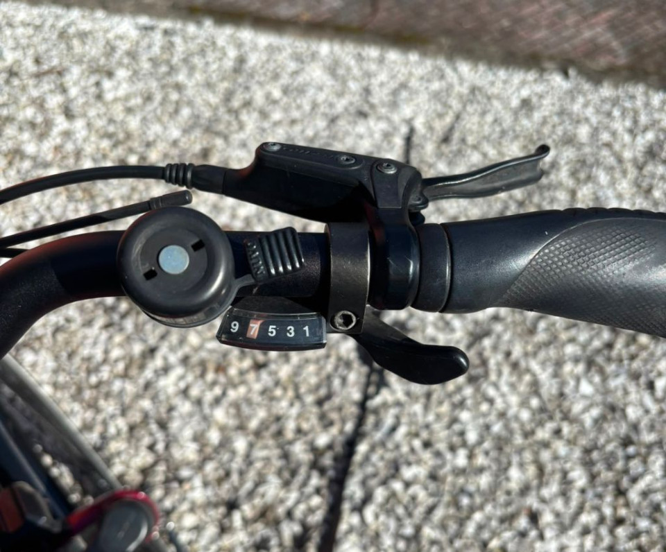Pegasus Solero Elektrische hybride fiets 