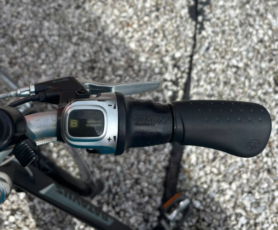 Batavus Genova E-Go elektrische damesfiets