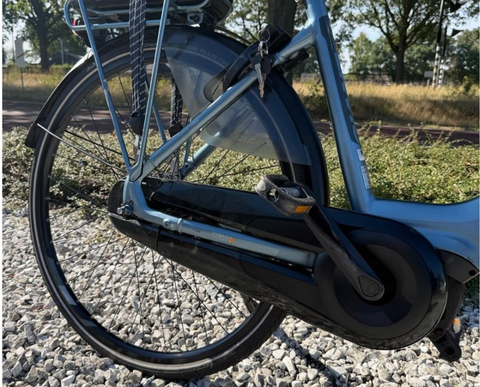Giant Elegance+ Elektrische damesfiets