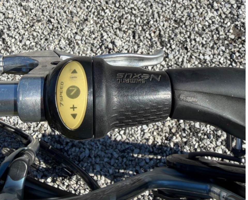 Giant Elegance+ Elektrische damesfiets