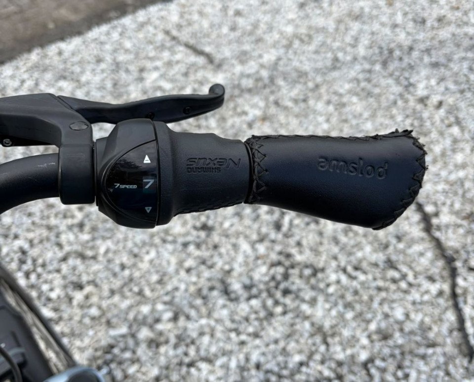 Amslod Carlton STX E-bike Dames - Comfortabele Elektrische Fiets met Voorwielmotor