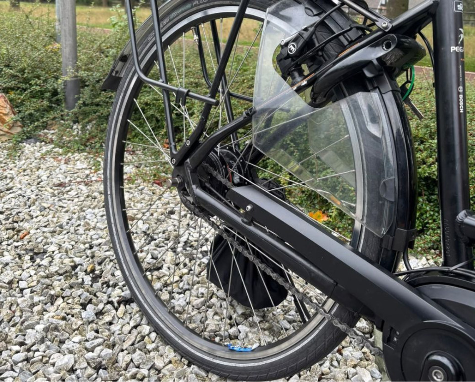 Pegasus Ravenna E-bike Dames - Comfortabele Elektrische Fiets met Bosch Middenmotor