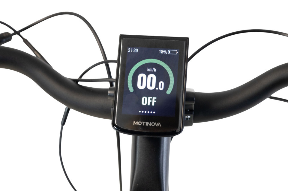 Van Rixtel Ultimate - Showroommodel - frost mint - elektrische damesfiets