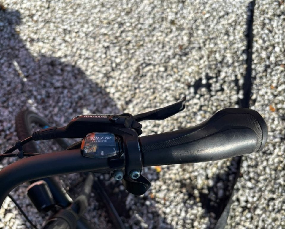Giant Prime+ E-bike Dames - Comfortabele Elektrische Fiets Middenmotor