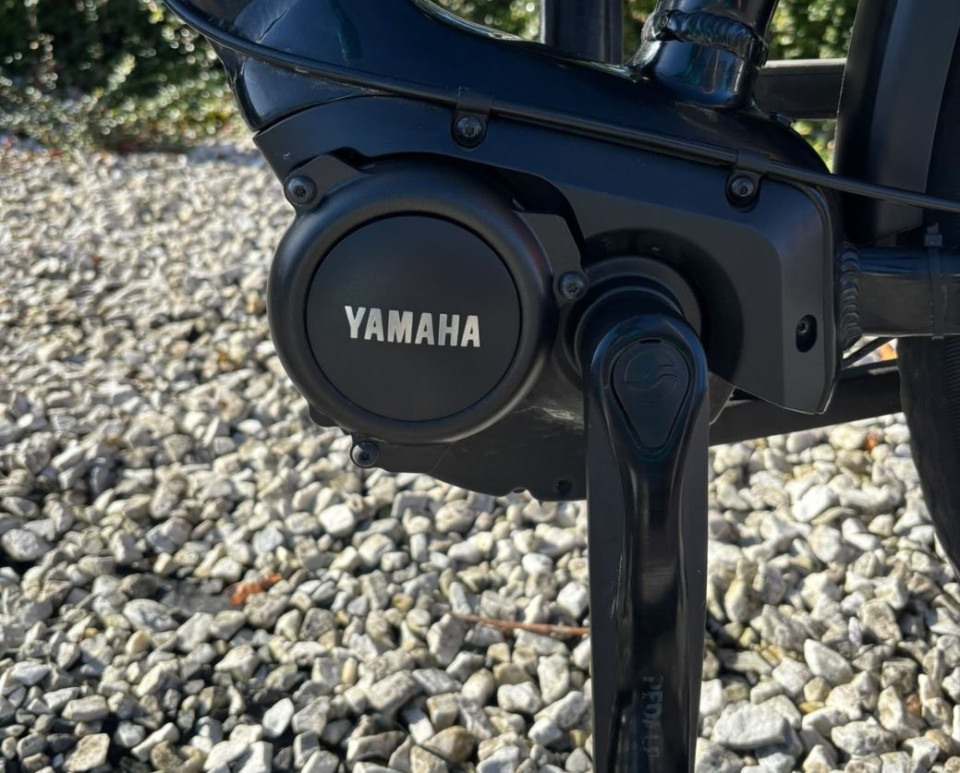 Giant Prime+ E-bike Dames - Comfortabele Elektrische Fiets Middenmotor