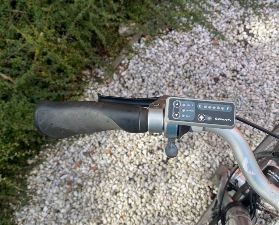 Giant Twist Elektrische Damesfiets | Voorwielmotor & Nexus Versnellingen | Rijklaar