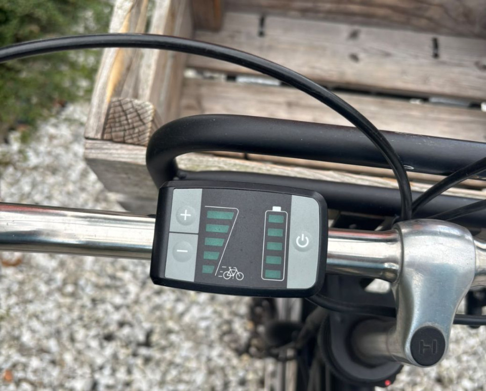 Sparta Pickup Elektrische fiets - Ebike Herenfiets - voorwielmotor