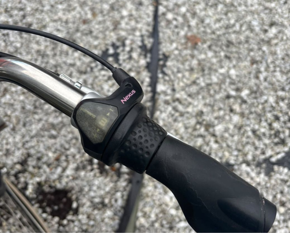Sparta Pickup Elektrische fiets - Ebike Herenfiets - voorwielmotor