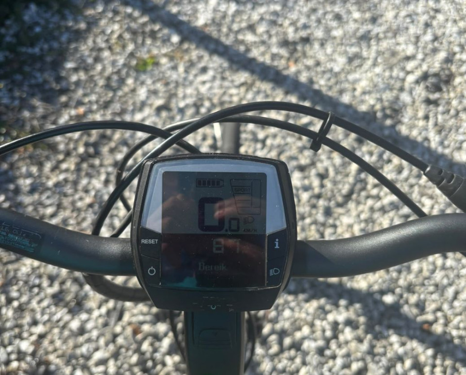 Batavus Wayz E-Go - E-Bike Middenmotor - Riemaandrijving - Rijklaar