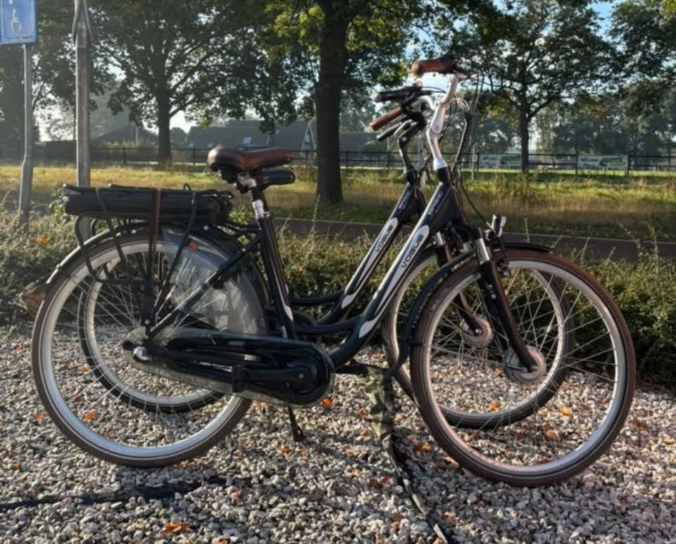 Prachtige Set Vogue Basic E-bikes (Ook Per Stuk Verkrijgbaar)