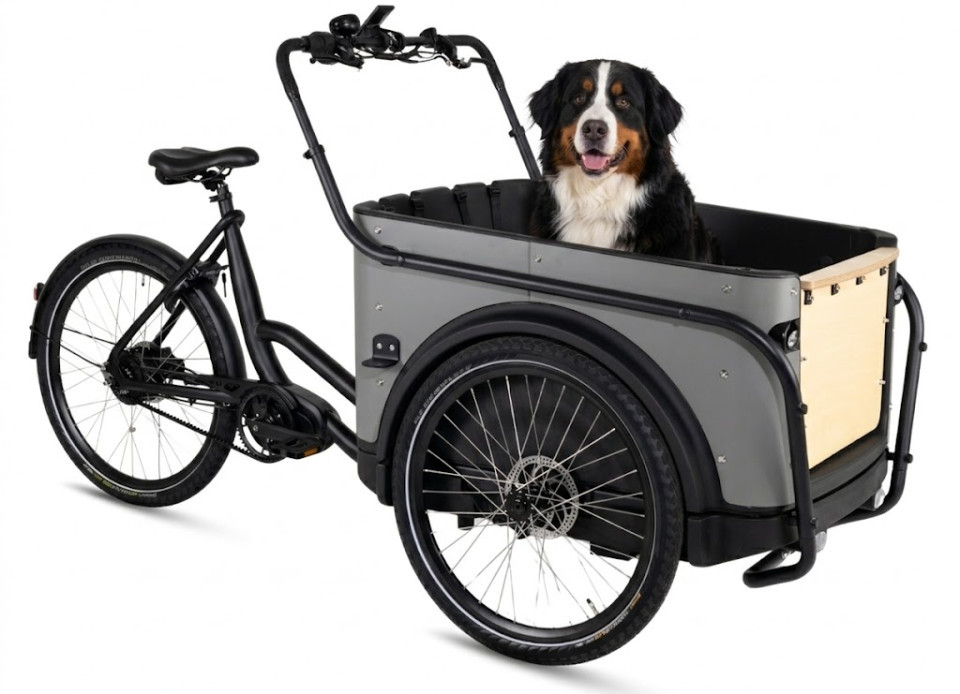 Royal Cargo Bike 3W Premium Plus Dog - taupe grijs - elektrische driewieler hondenbakfiets