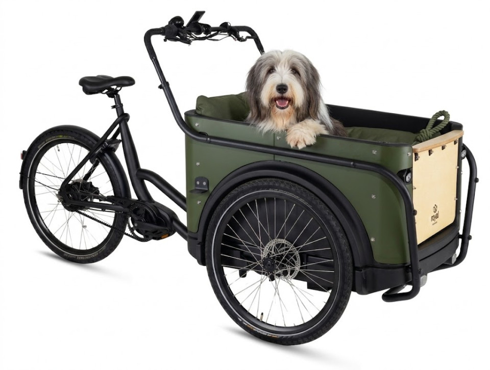 Royal Cargo Bike 3W Premium Plus Dog - groen - elektrische driewieler hondenbakfiets