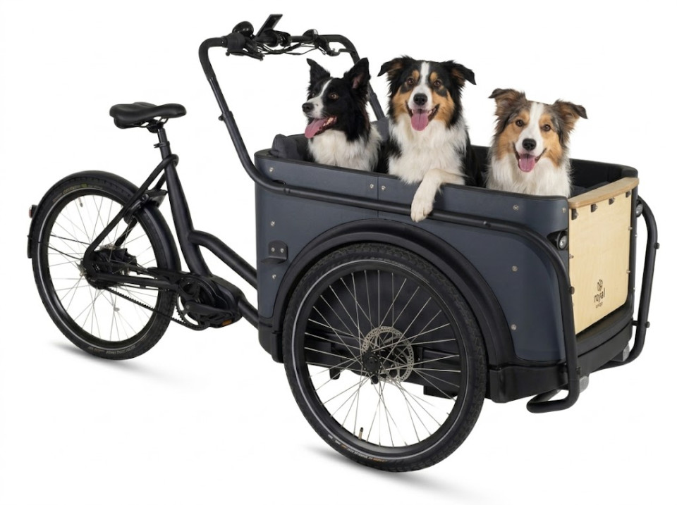 Royal Cargo Bike 3W Premium Plus Dog - antraciet - elektrische driewieler hondenbakfiets