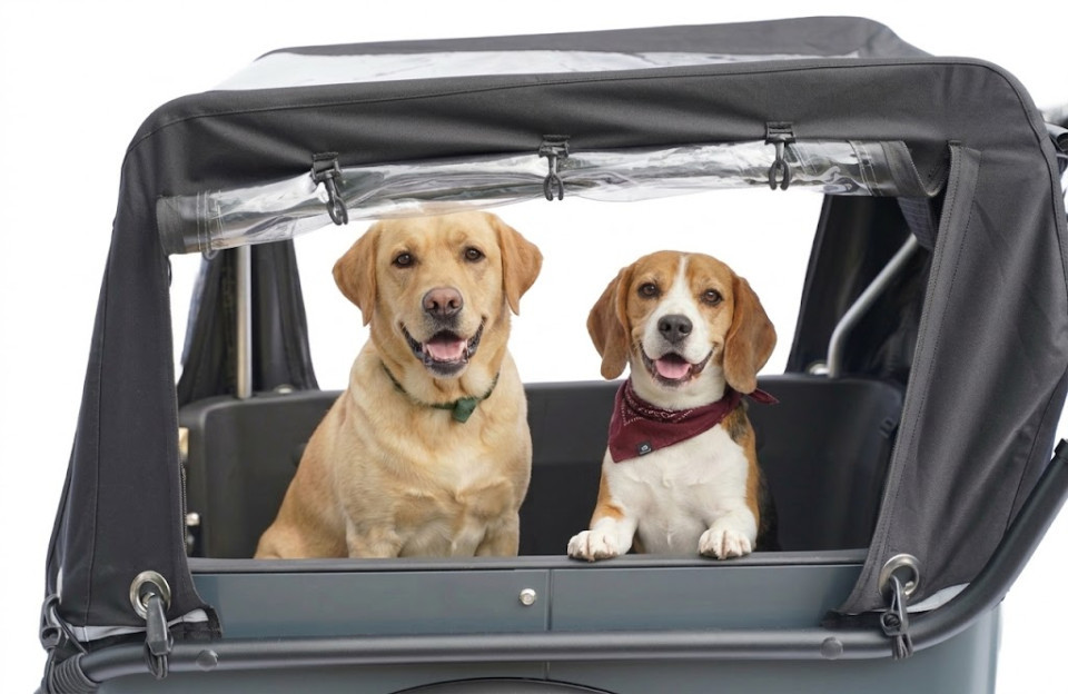 Royal Cargo Bike 3W Premium Plus Dog - antraciet - elektrische driewieler hondenbakfiets
