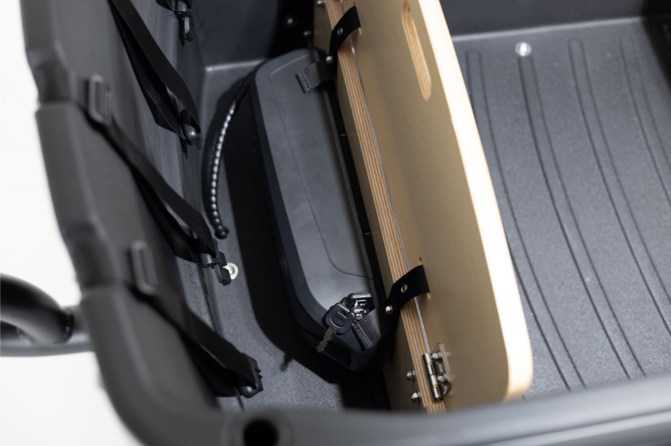Royal Cargo Bike 3W Premium Plus Dog - groen - elektrische driewieler hondenbakfiets