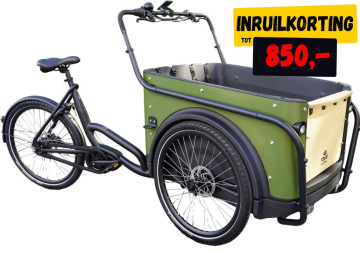 Royal 3W Premium - groen - elektrische driewieler bakfiets