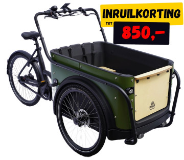 Royal 3W Premium - groen - elektrische driewieler bakfiets