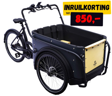 Royal 3W Premium - antraciet - elektrische driewieler bakfiets