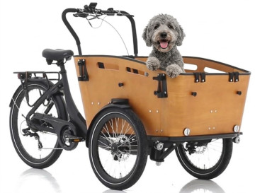 Qivelo Curve DR7 Dog - elektrische driewieler bakfiets - mat zwart/bruin