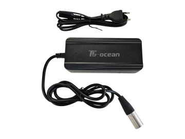 Accu oplader 36V / 2.0Ah 5 pin (113-3-c) 