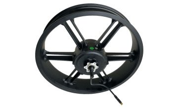 V20 pro fatbike motor met velg