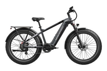 Basalt  Asgrijs | Elektrische Heren Mountainbike | Fatbike