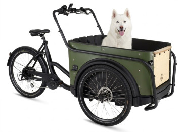 Royal Cargo Bike 3W Eco Dog - groen - elektrische driewieler bakfiets